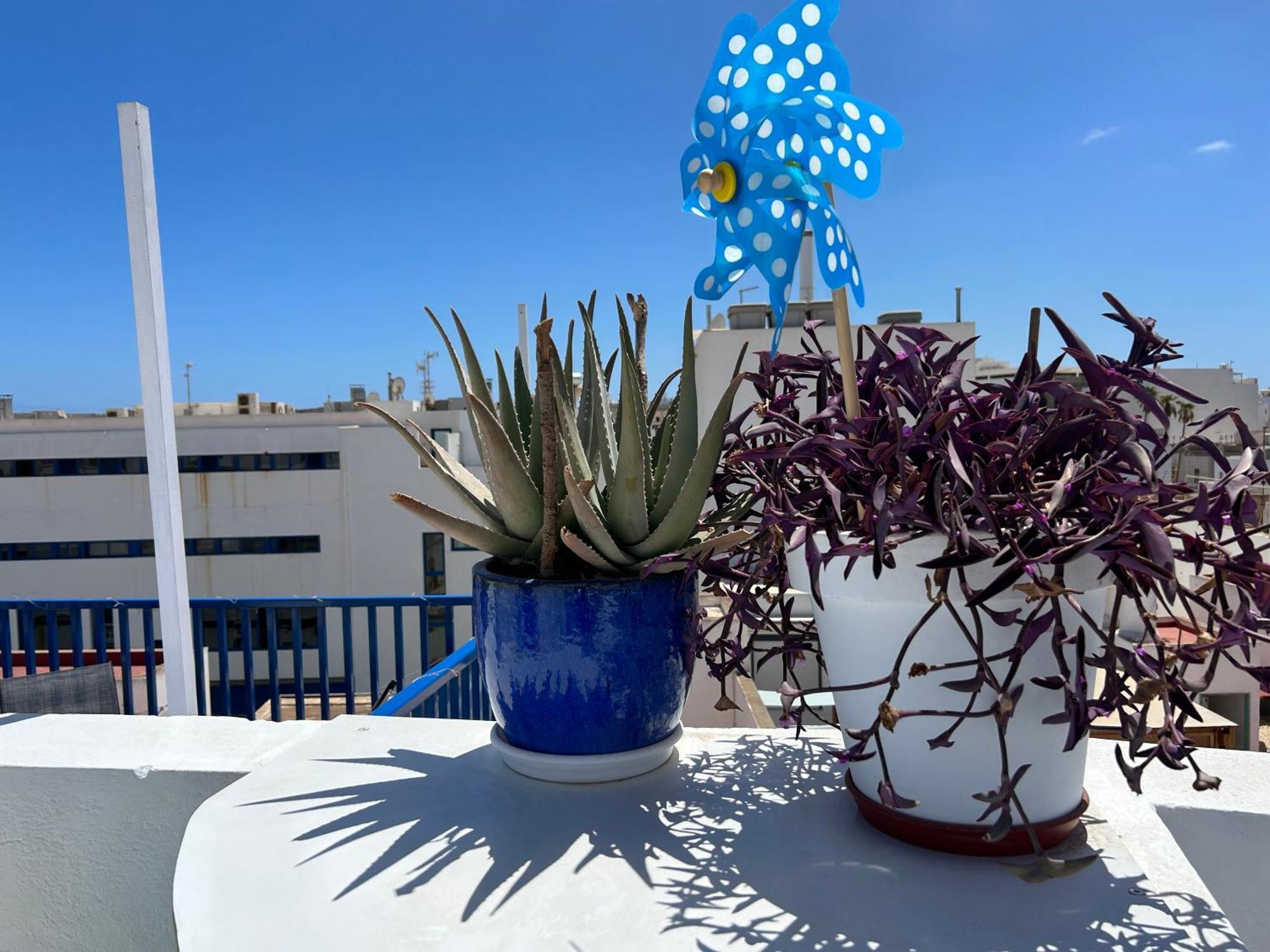 La Buganvilla Rooms Arrecife  Exterior photo
