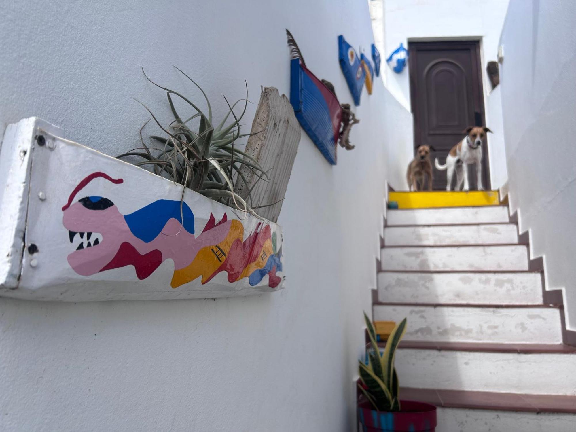La Buganvilla Rooms Arrecife  Exterior photo